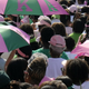 AKAs participate in the 2008 Unity Day March in Washington, D.C. (the Washington Post)